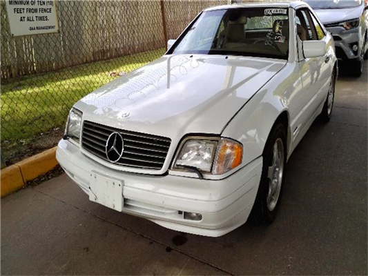 Image of .